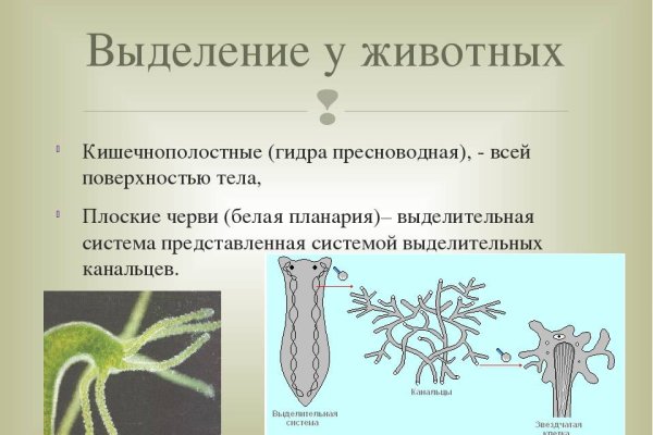 Что такое кракен маркет торкнет