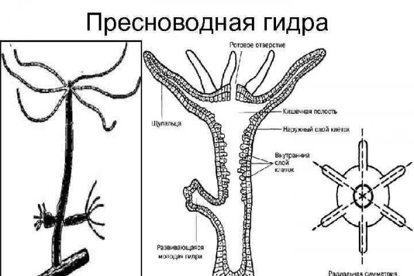 Кракен зеркало сайта