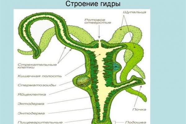 Кракен сайт 1kraken me